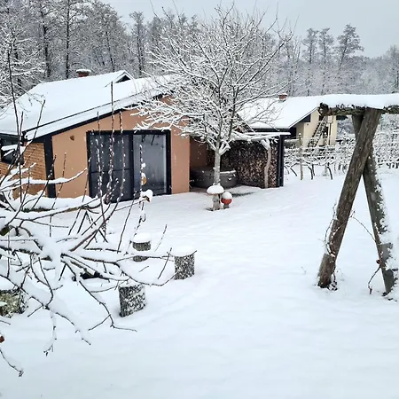 Holiday home Gozdarjeva Hiska M&k *