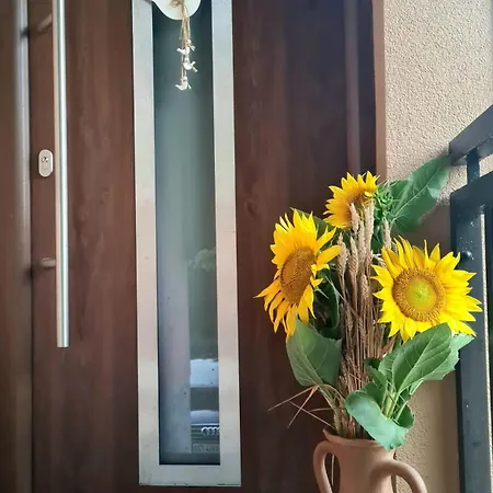 Gozdarjeva Hiska M&k Dobrovnik