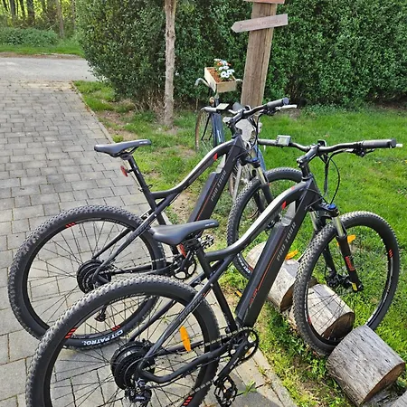 Tatil Evi Gozdarjeva Hiska M&k