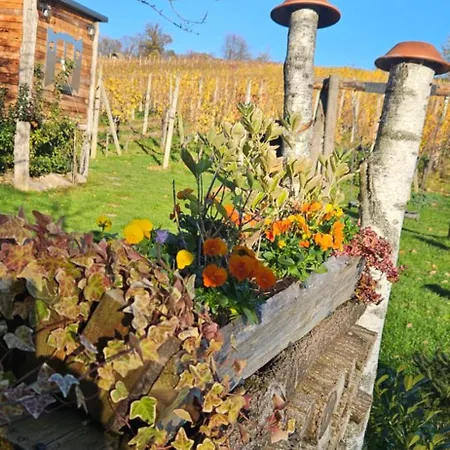 Gozdarjeva Hiska M&k Tatil Evi