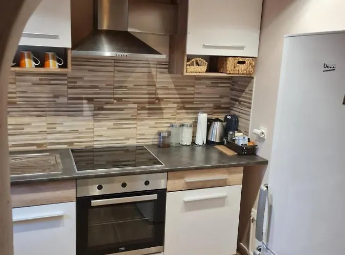 Gozdarjeva Hiska M&k 度假居 *