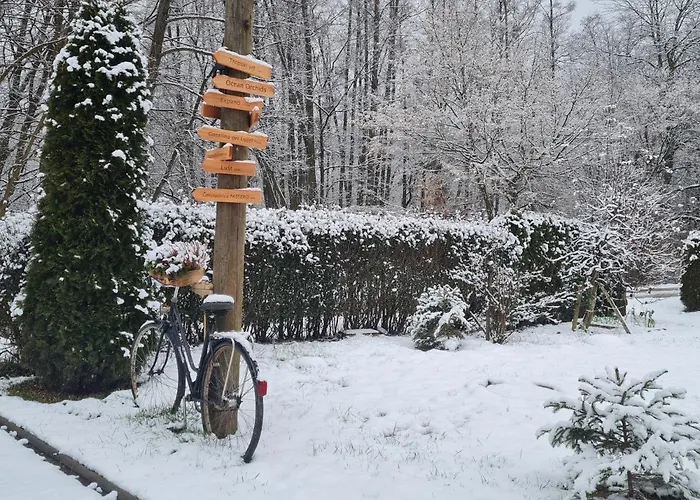 Gozdarjeva Hiska M&k Σπίτι διακοπών *