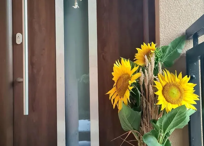 Gozdarjeva Hiska M&k Dobrovnik