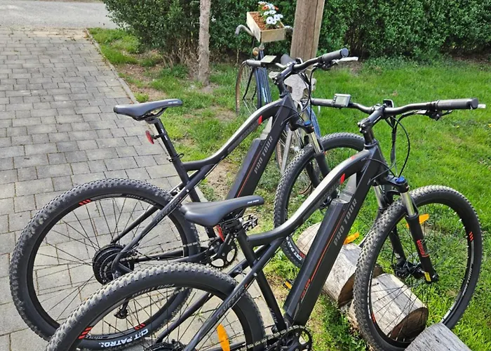 度假居 Gozdarjeva Hiska M&k