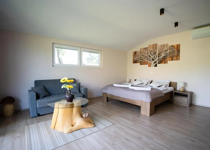 Gozdarjeva Hiska M&k 度假居 *